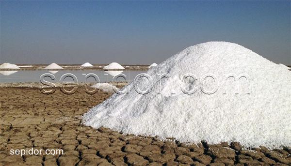 بزرگترین تولیدکنندگان نمک در دنیا