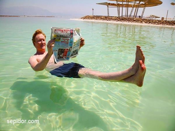 جاذبه گردشگری دریای مرده :: شناور شدن روی دریای نمک
